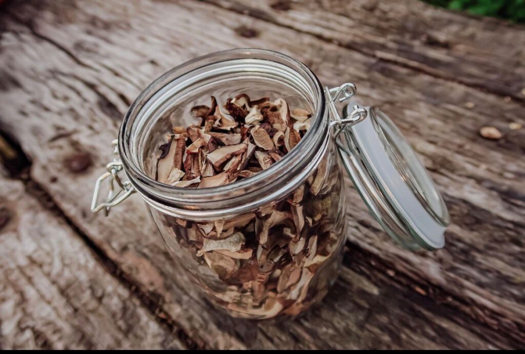 How to Store Dried Mushrooms Properly 1 northwestpsilocybinshrooms.com