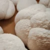 Buy Fresh Lion's Mane – 1kg